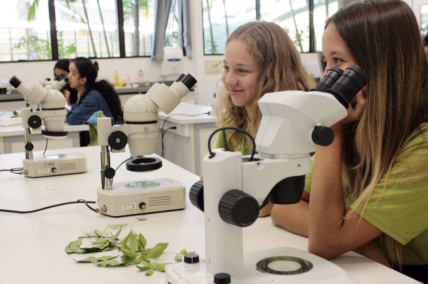 Projeto Naturalista Por Um Dia Est Inscri Es Abertas Not Cia