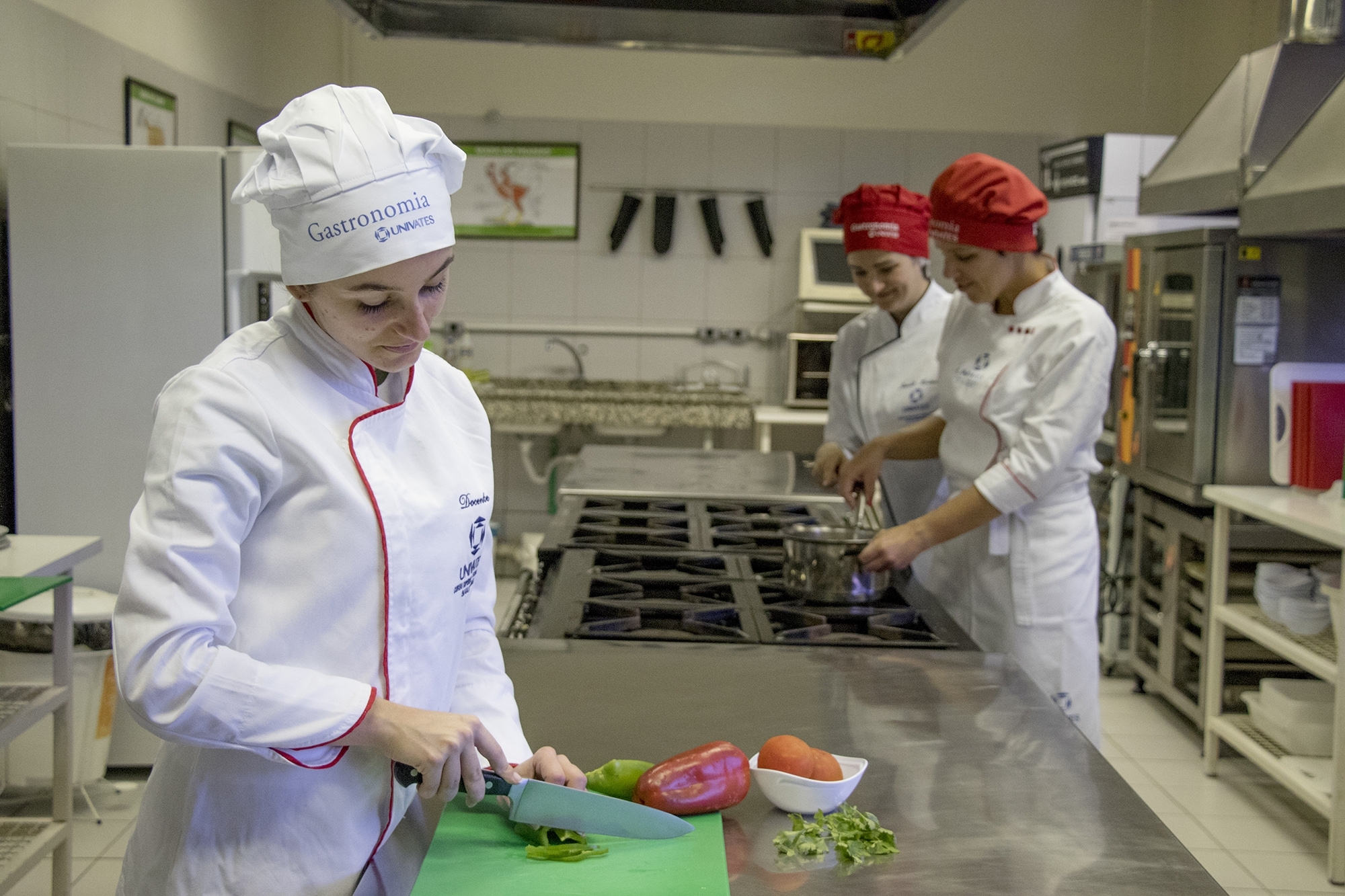 Tudo o que você precisa saber sobre o curso de Gastronomia Notícia