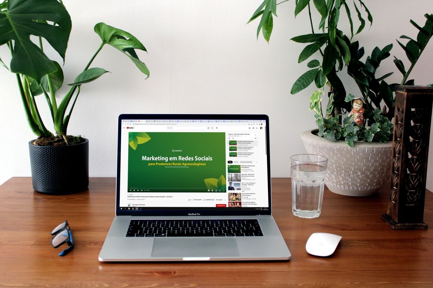 PPGSAS realiza webcurso sobre redes sociais para agroecologistas