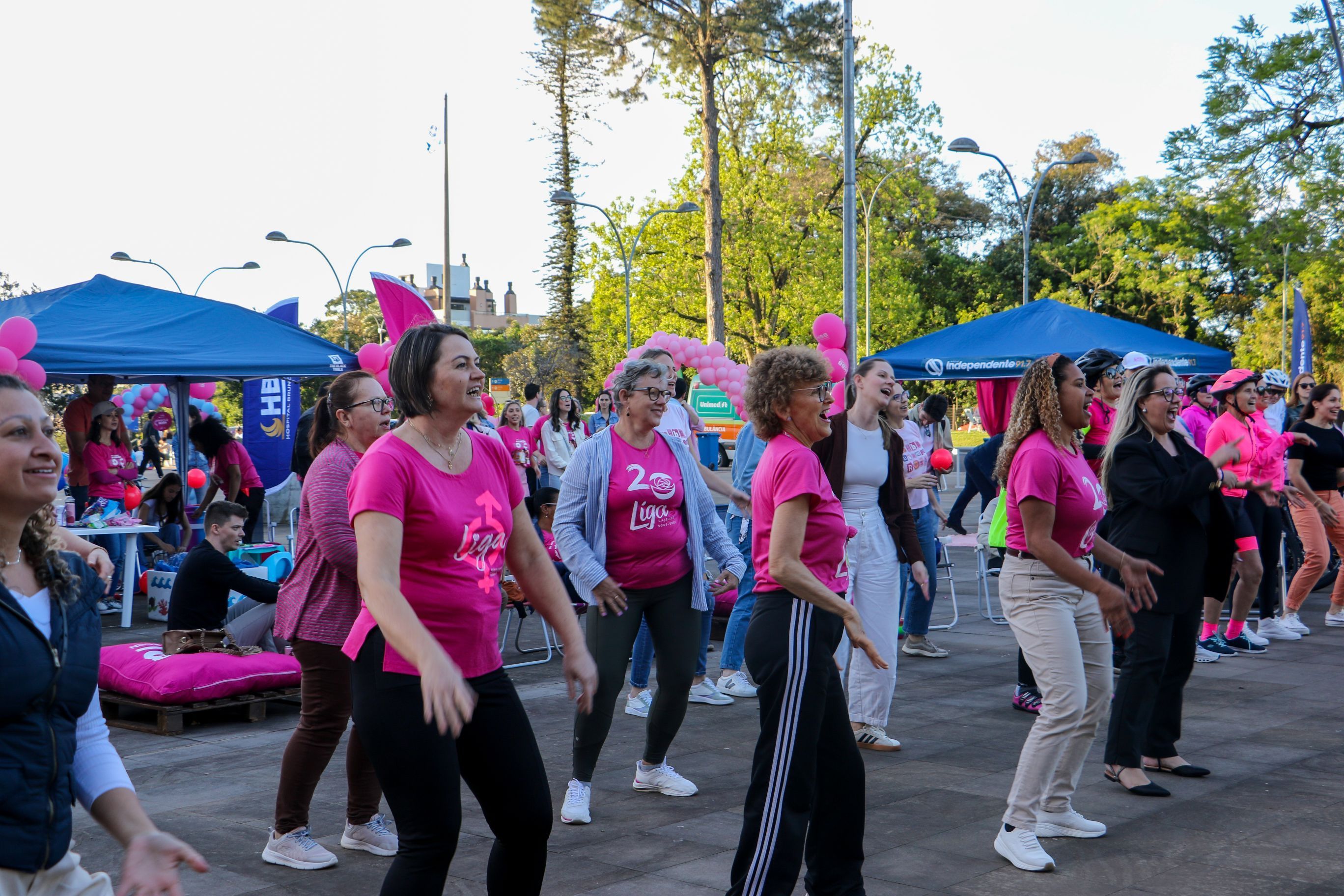 Parque Rosa será realizado na Univates em outubro
