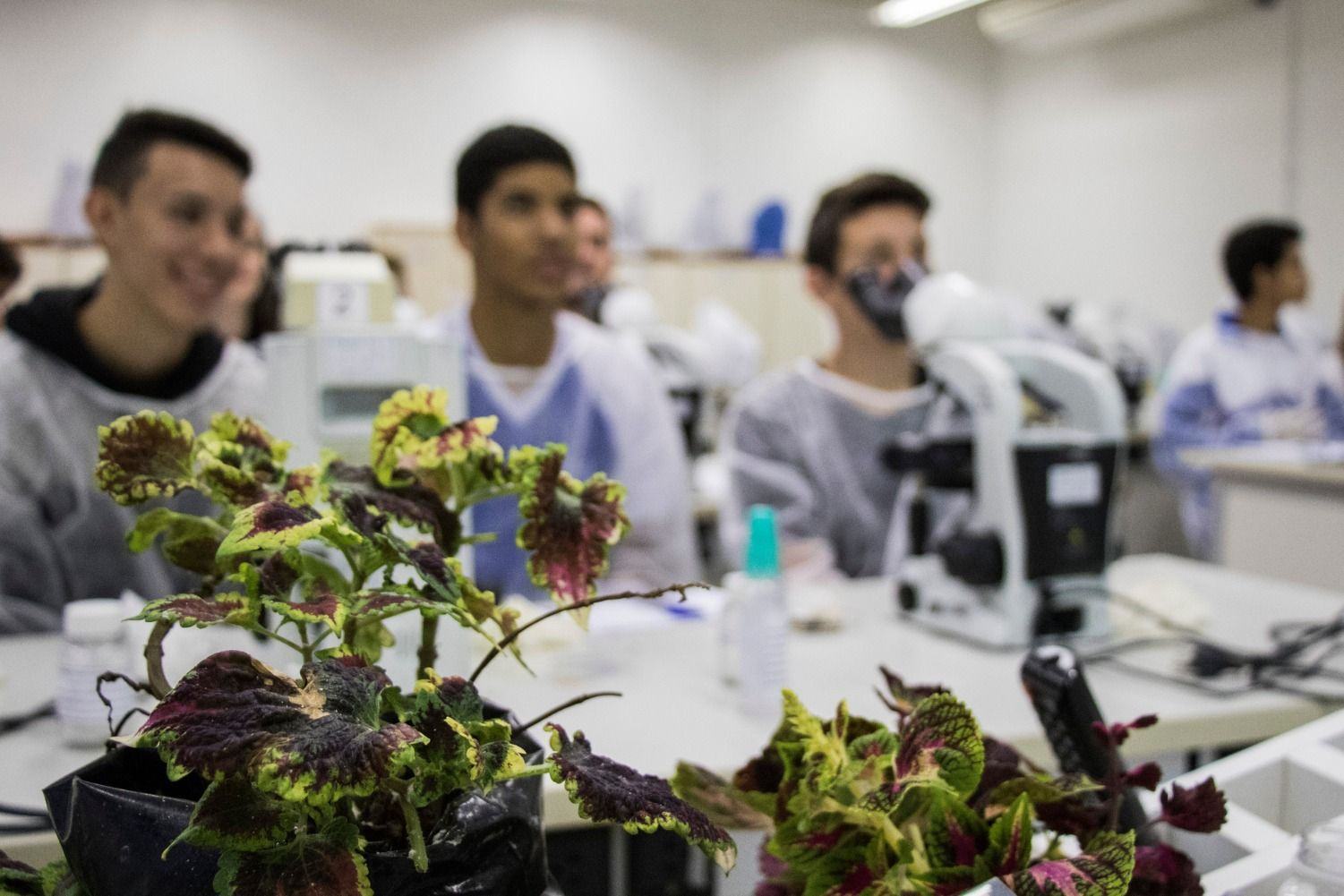 Univates promove Oficinas de Biotecnologia para estudantes do Ensino Médio