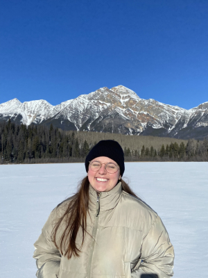 Dirio de bordo Kerlin Wadenphul Zago