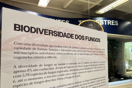 Nova exposio do Museu de Cincias da Univates apresenta o mundo dos fungos